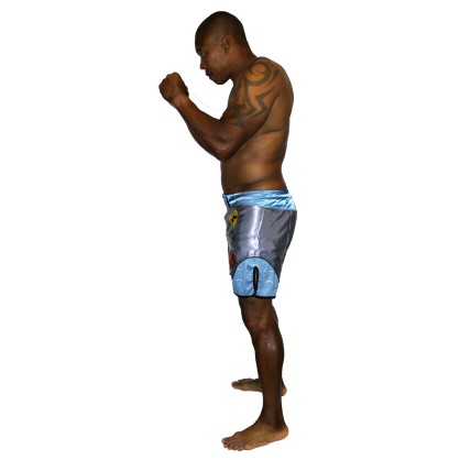 MMA Shorts Kamon Brave Art – Himmelblau & Grau | Tradition & Technik