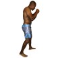 MMA Shorts Kamon Brave Art MMA Shorts Kamon Brave Art