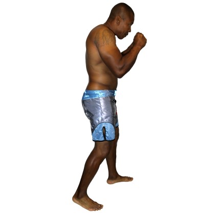 MMA Shorts Kamon Brave Art – Himmelblau & Grau | Tradition & Technik