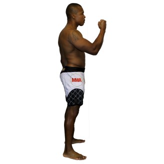Short de MMA Octogone Brave Art