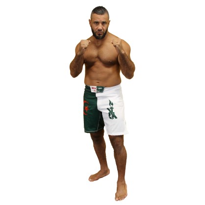 MMA Shorts DZ Brave Art