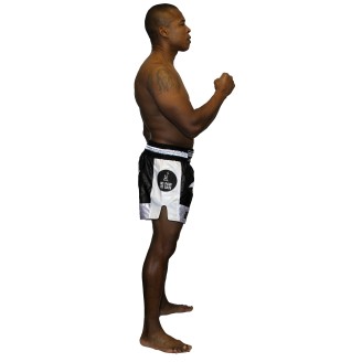Muay Thai Short Light Night Brave Art