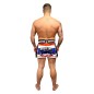 Muay Thaibox-Short Lion Brave Art Muay Thaibox-Short Lion Brave Art